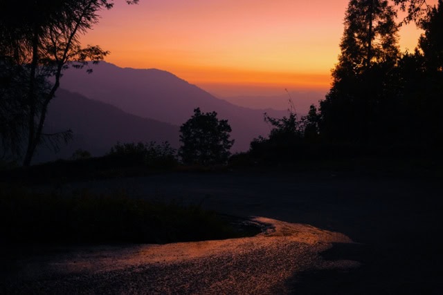 Stories of resilience -journey through adversity to strength